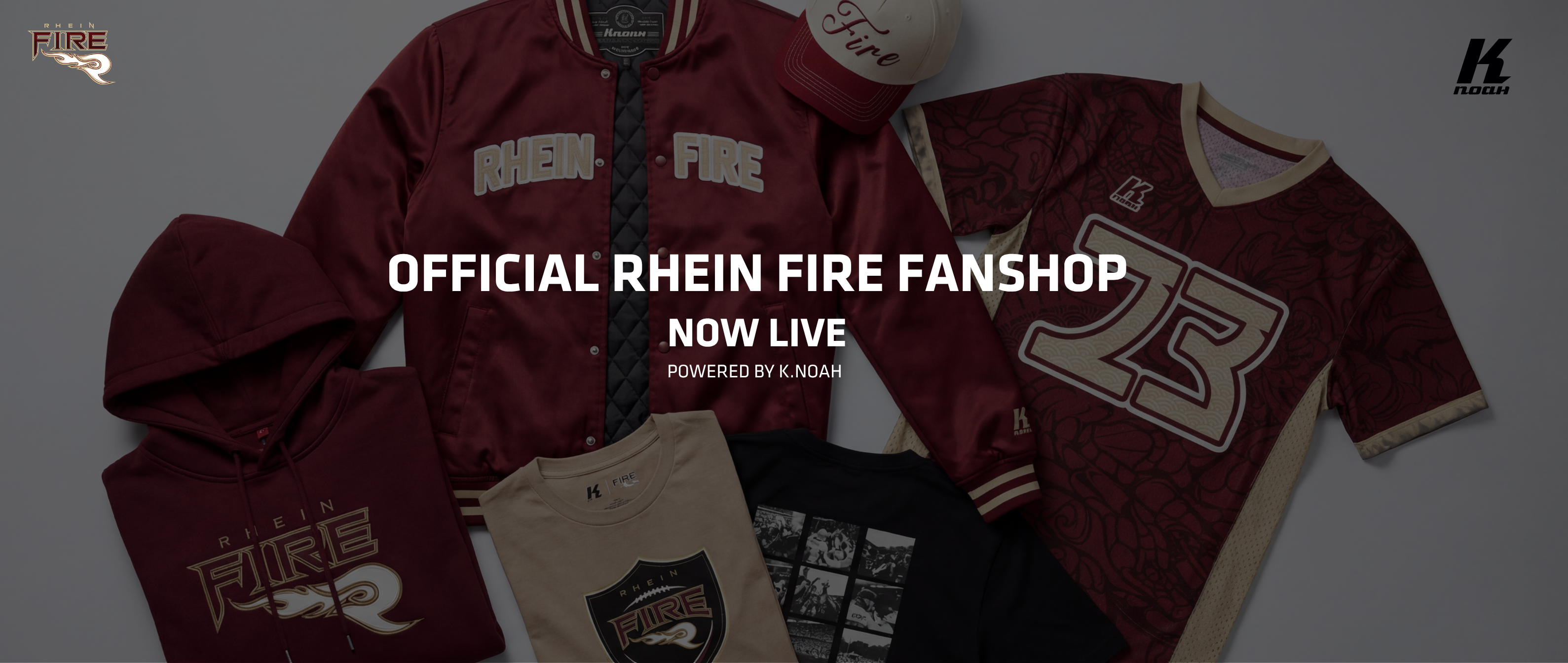 Rhein Fire